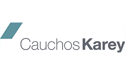 cauchos